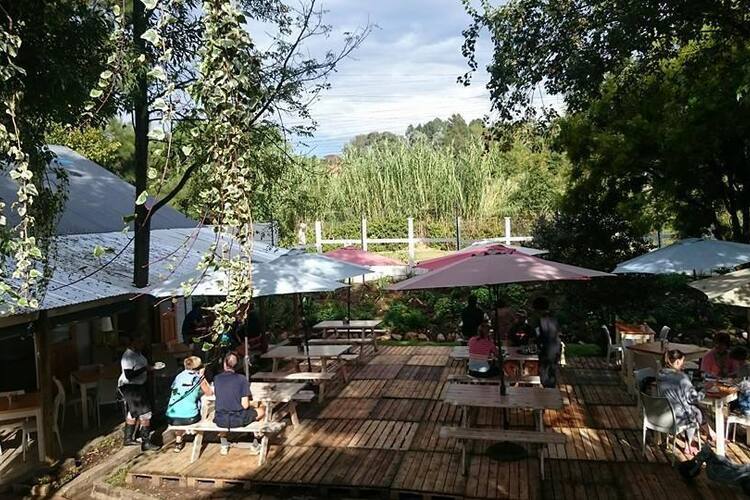 delta cafe reviews user reviews for delta cafe craighall johannesburg